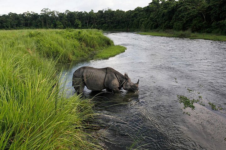 Chitwan National Park Adventure.jpg